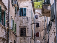 Kotor